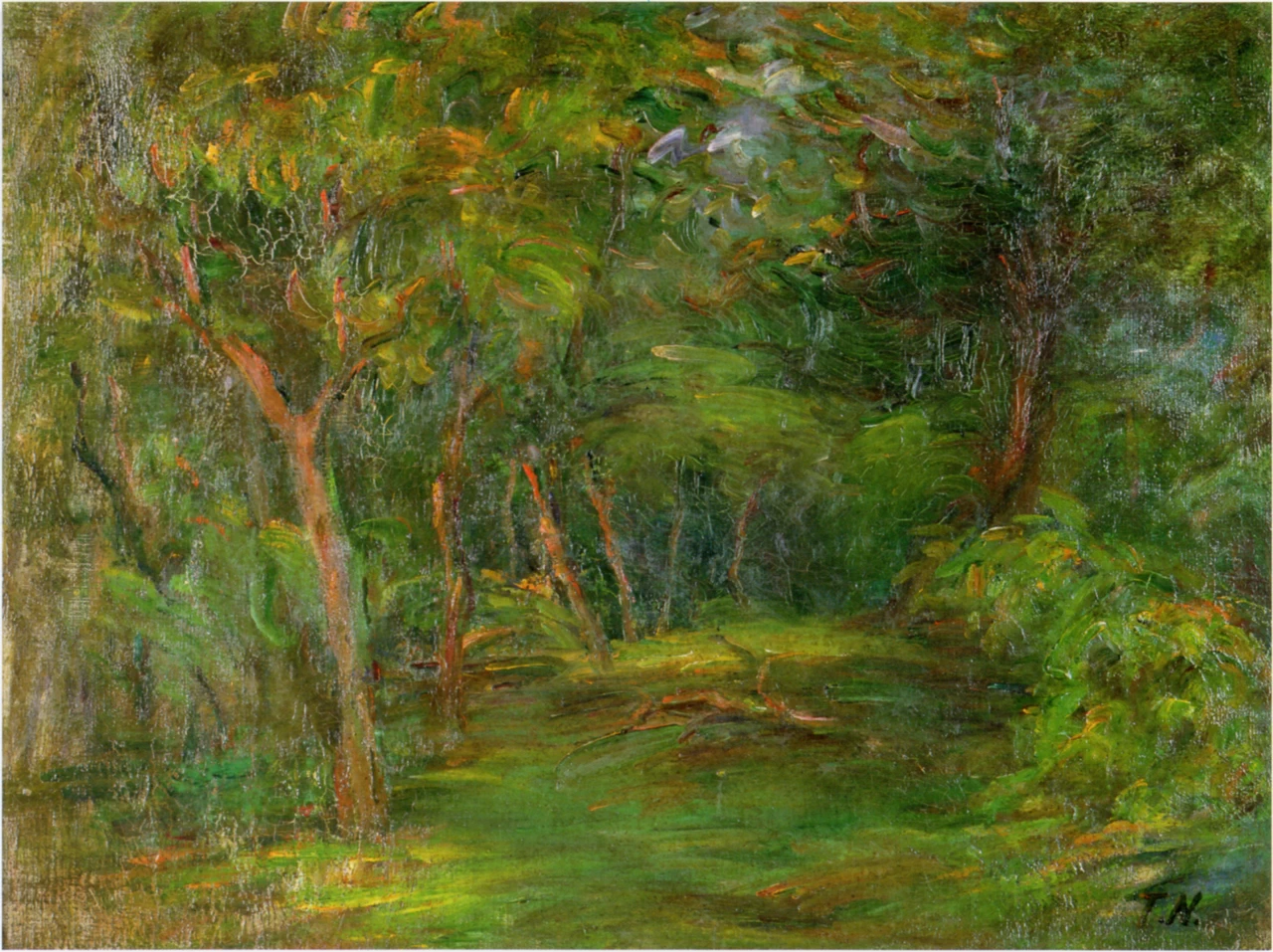 Vista con alberi - Museum of Modern Art, Ibraki